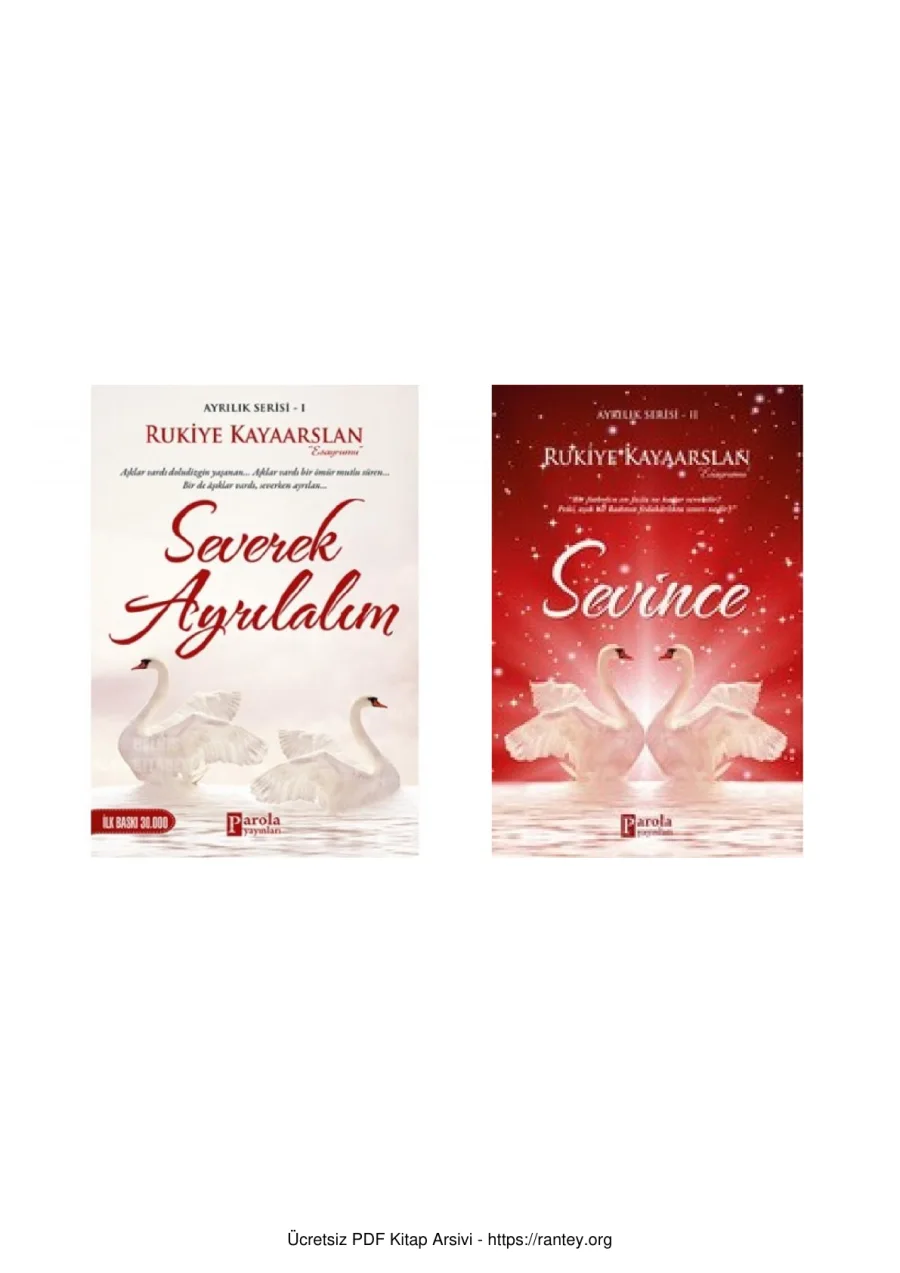 Severek Ayrılalım Sevince kapak görseli
