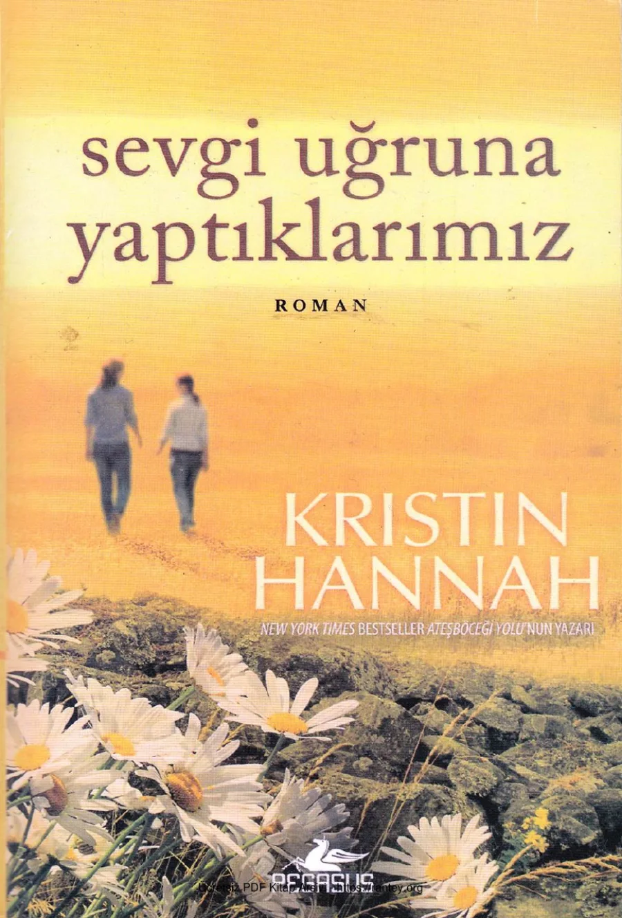 Sevgi Uğruna Yaptıklarımız kapak görseli