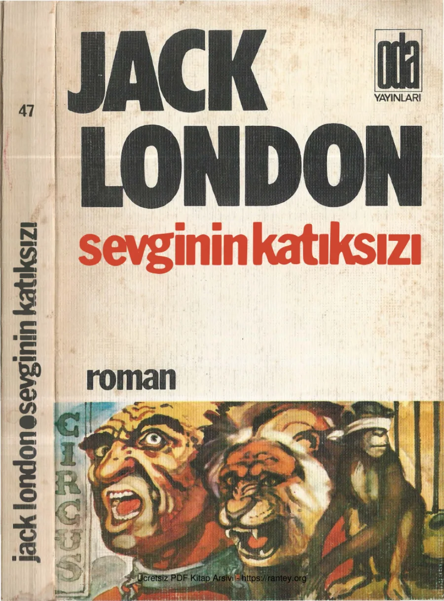 Sevginin Katıksızı kapak görseli