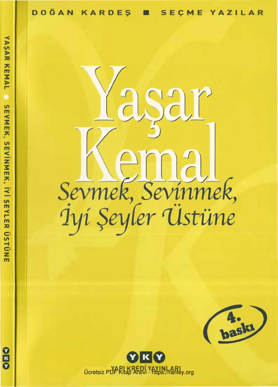 Sevmek Sevinmek İyi Şeyler Üstüne kapak görseli