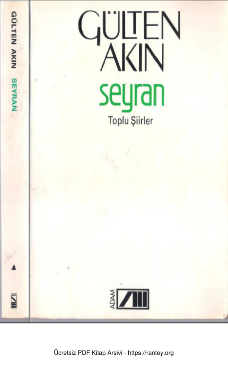 Seyran kapak görseli