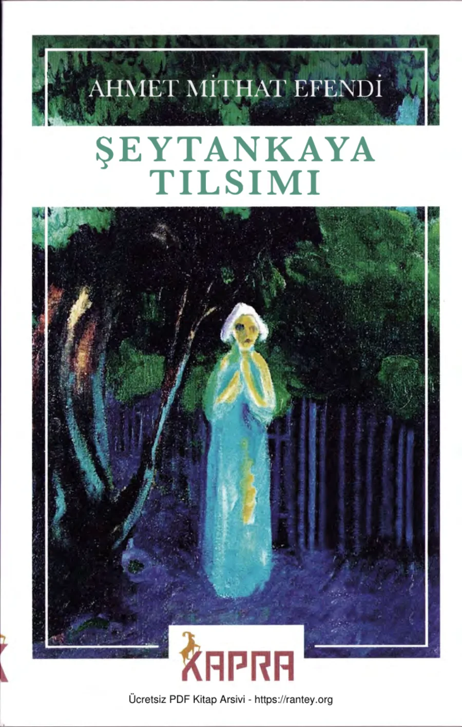 Şeytankaya Tılsımı Kapra Yayınları kapak görseli