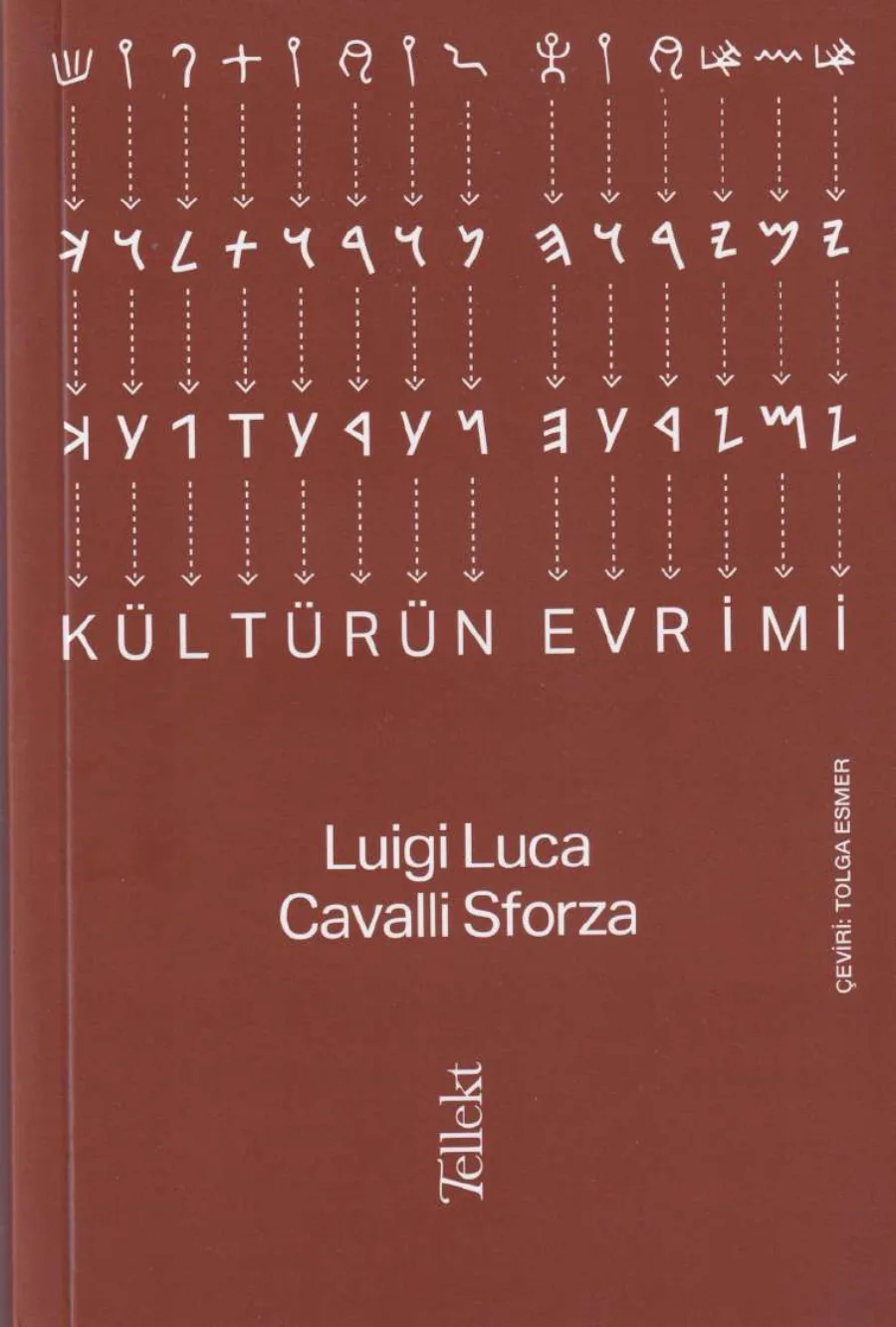 Sforza Kültürün Evrimi Tellekt Yayınları kapak görseli