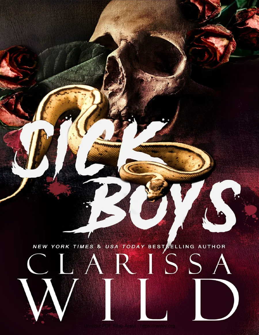 Sick Boys kapak görseli
