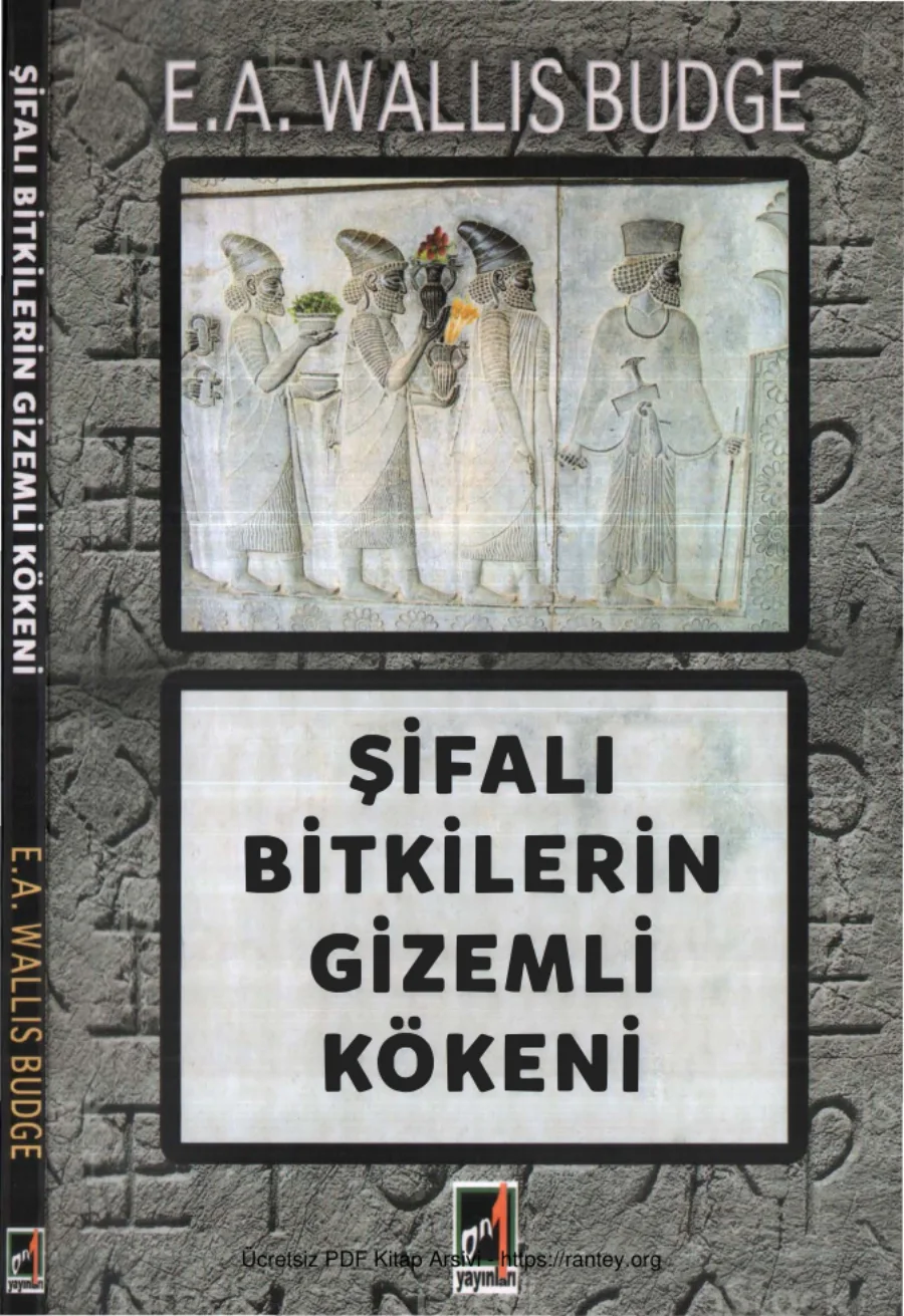 Şifalı Bitkiilerin Gizemli Kökeni kapak görseli