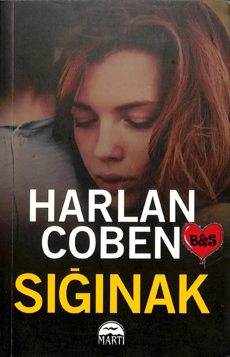 Sığınak kapak görseli