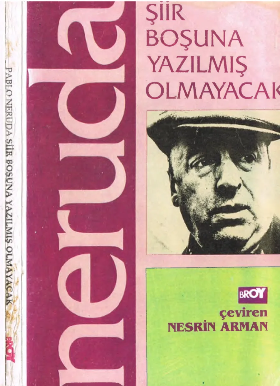 Şiir Boşuna Yazılmış Olmayacak kapak görseli