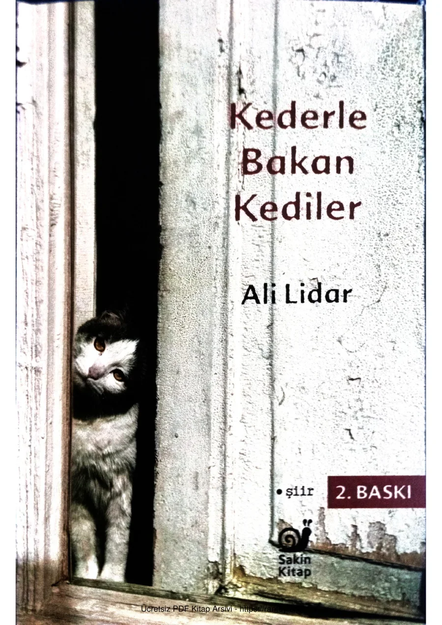 Şiir kederle bakan kediler kapak görseli