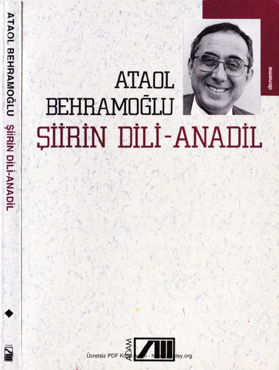 Şiirin Dili Anadil kapak görseli