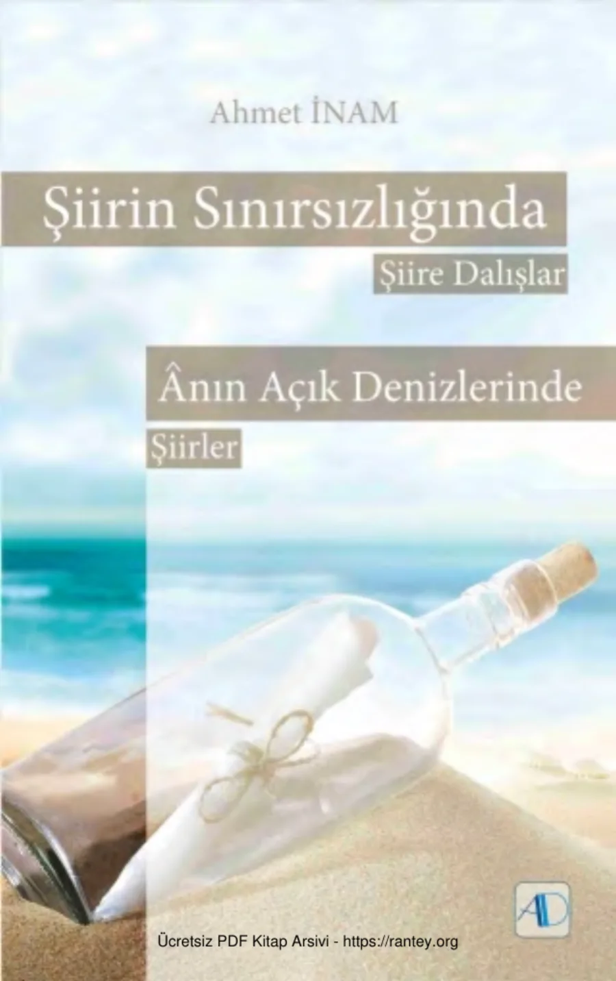 Şiirin Sınırsızlığında Şiire Dalışlar ve Anın Açık Denizlerde Şiirler Aktif Düşünce Yayınları kapak görseli
