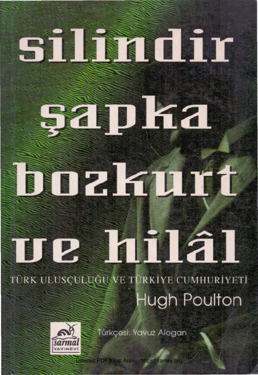 Silindir Şapka Bozkurt ve Hilal Sarmal Yayınları kapak görseli