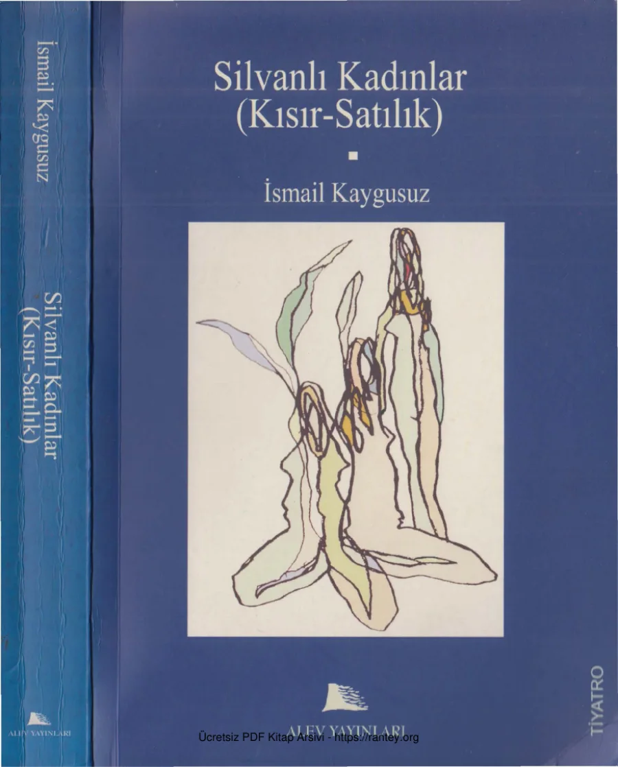 Silvanlı Kadınlar Alev Yayınları kapak görseli