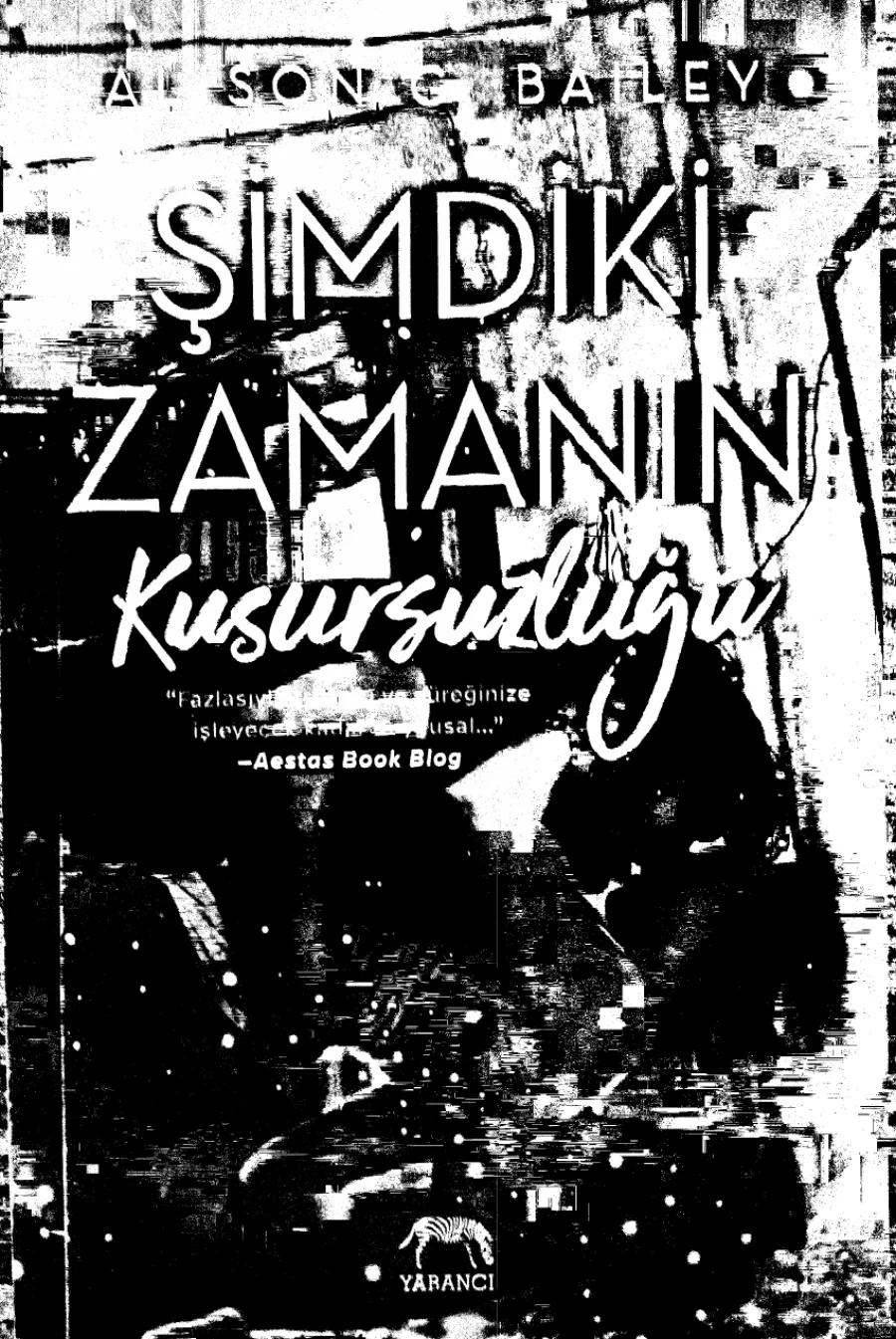 Şimdiki Zamanın Kusursuzluğu Perfect Serisi 1 kapak görseli