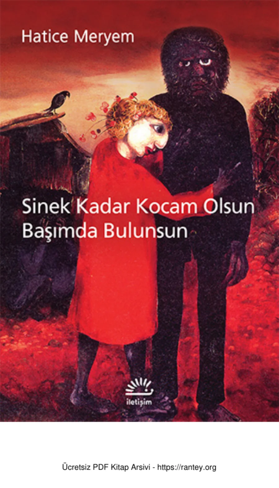 Sinek Kadar Kocam Olsun Basimda Bulunsun kapak görseli