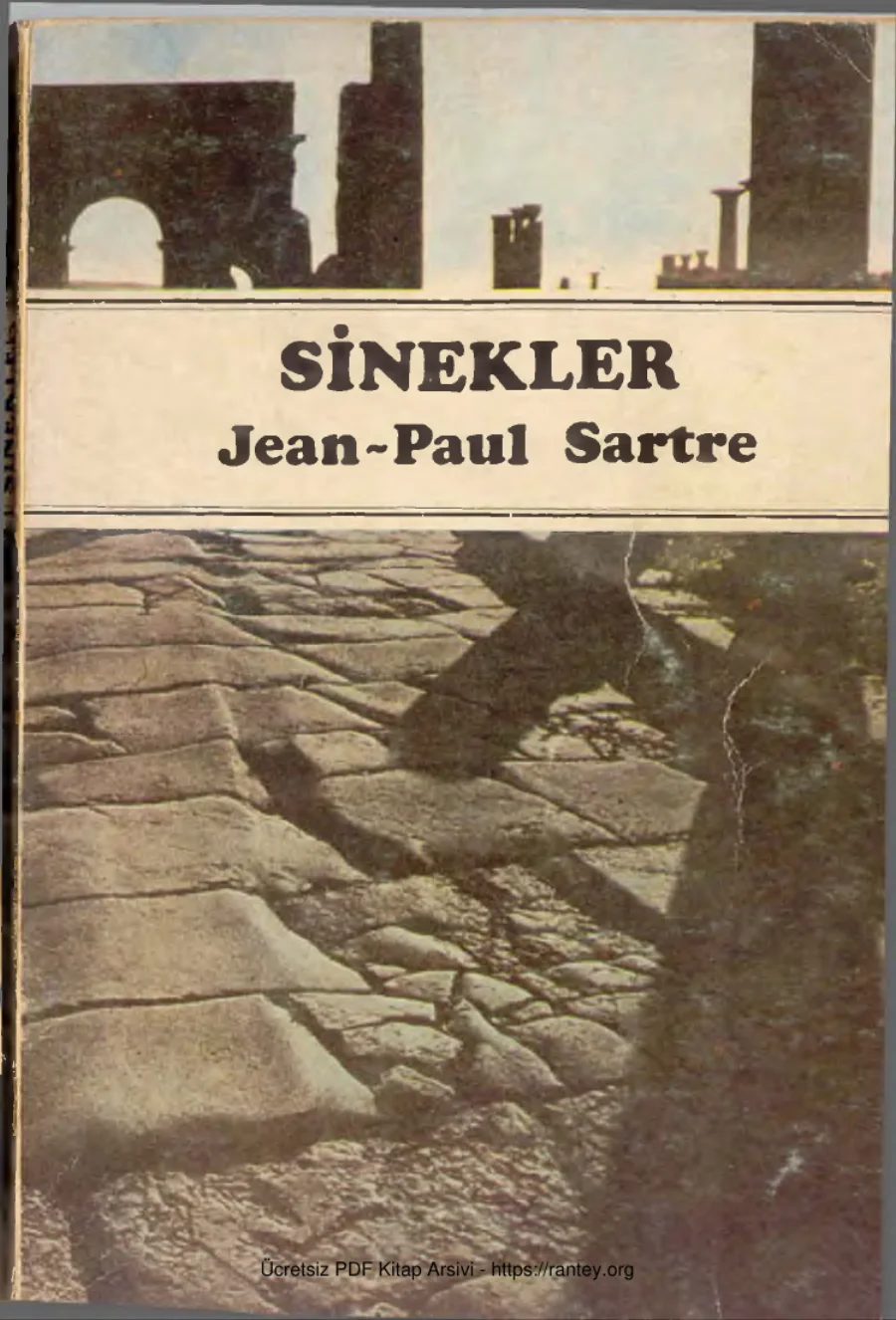 Sinekler tiyatro kapak görseli
