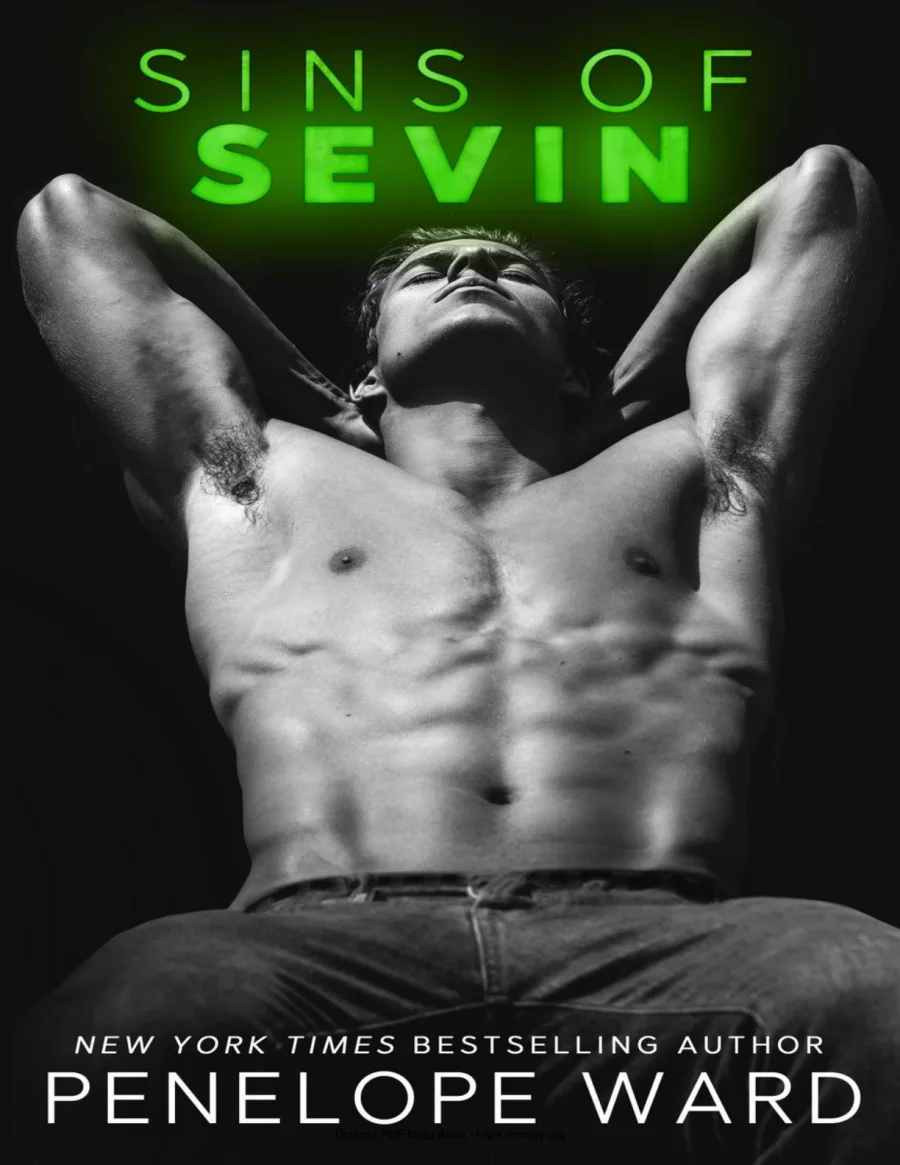 Sins of Sevin kapak görseli