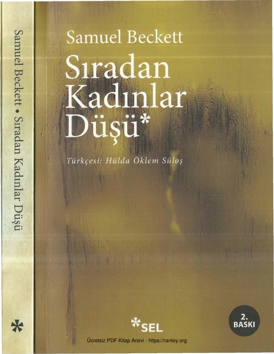 Sıradan Kadınlar Düşü kapak görseli