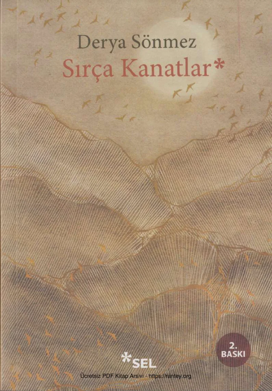 Sırça Kanatlar kapak görseli