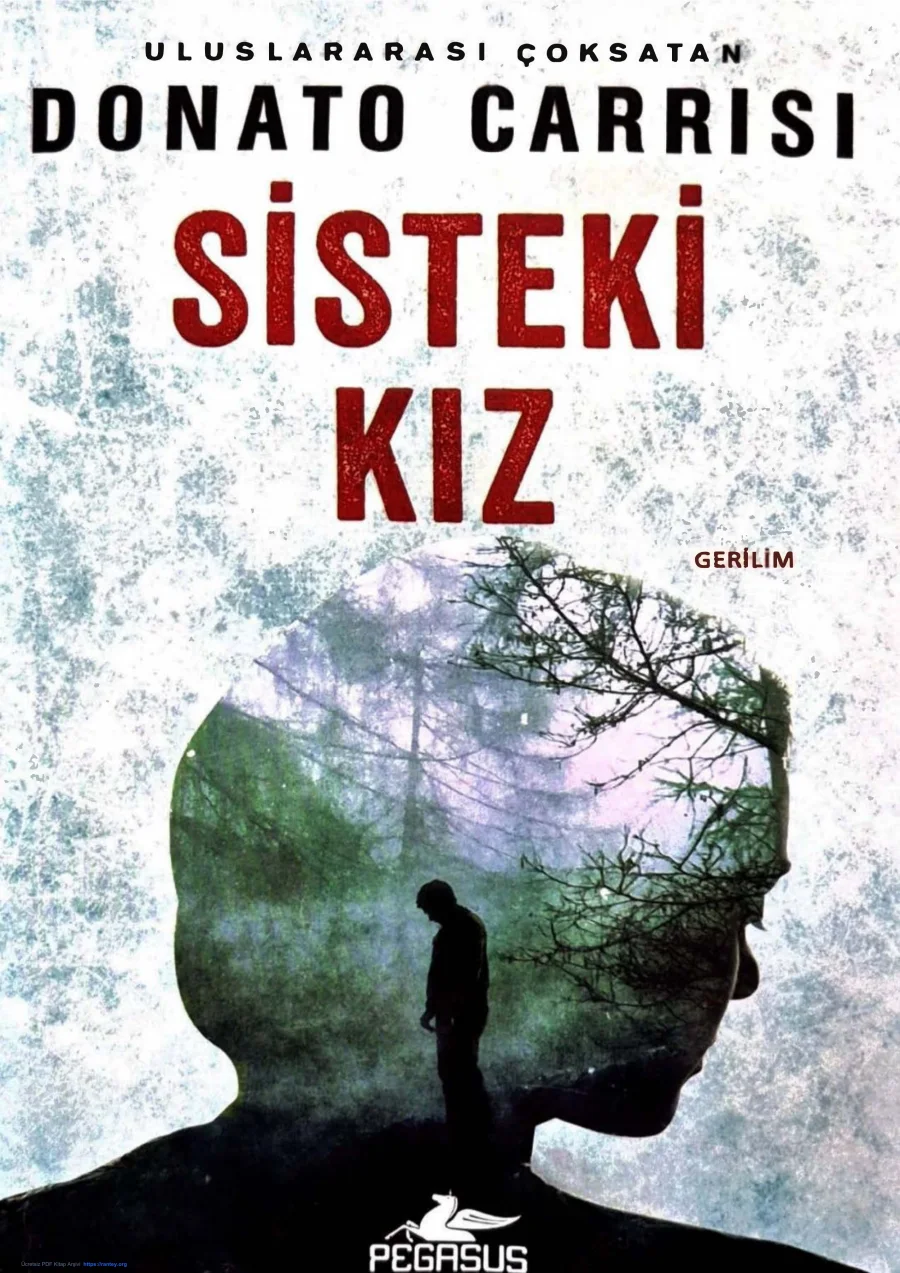 Sisteki Kız kapak görseli