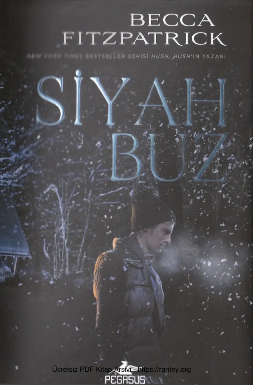 Siyah Buz kapak görseli