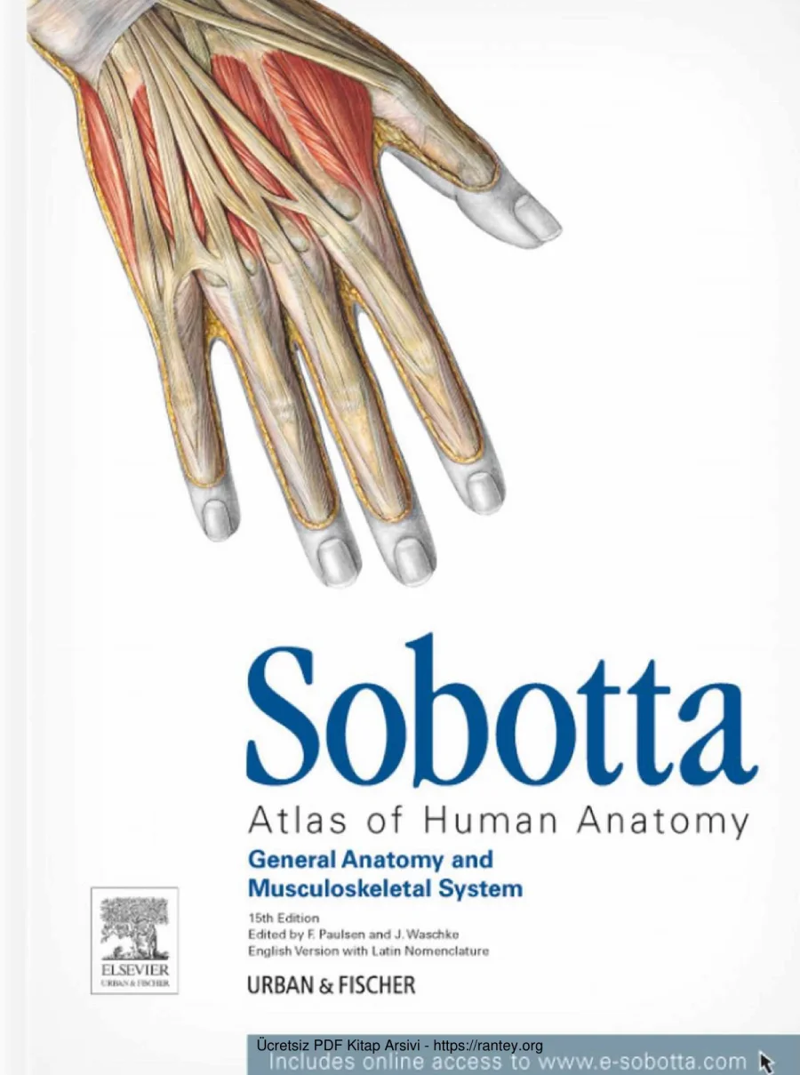 Sobotta Anatomy kapak görseli