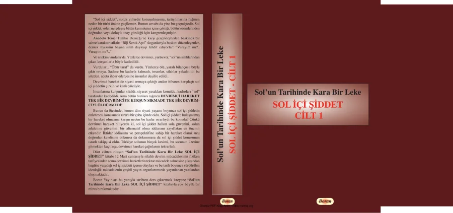 Sol İçi Şiddet Cilt 1 kapak görseli