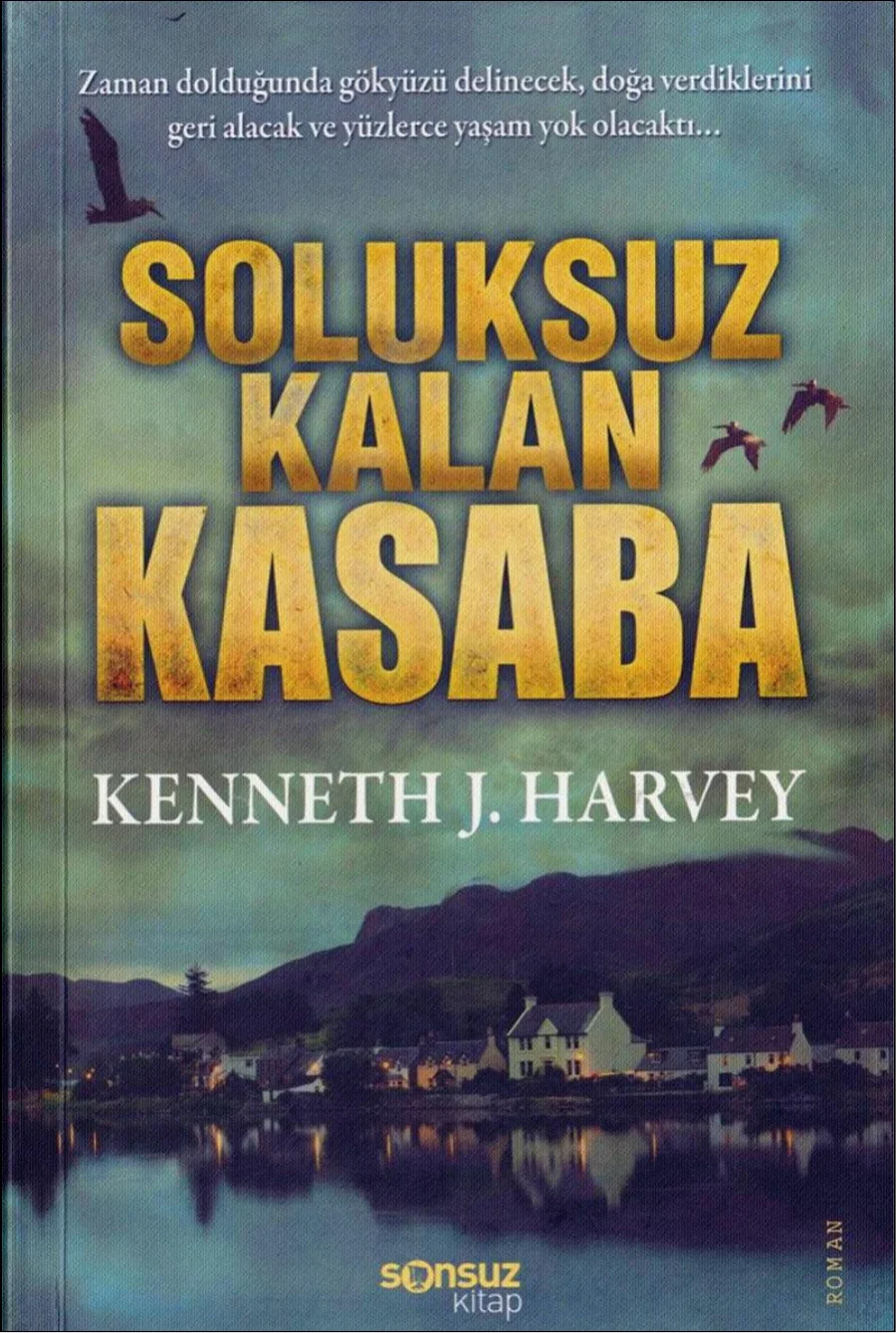 Soluksuz Kalan Kasaba Sonsuz kapak görseli