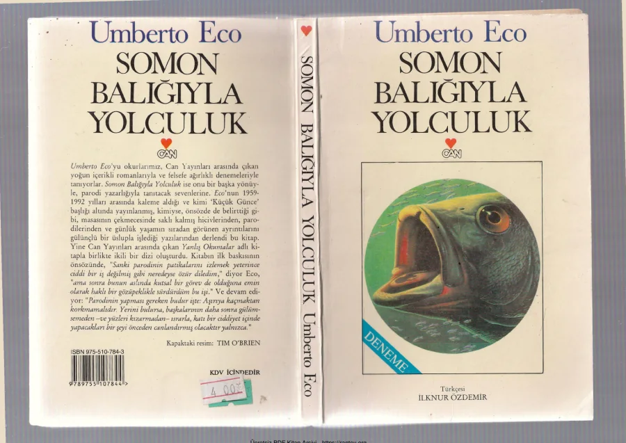 Somon Balığıyla Yolculuk kapak görseli