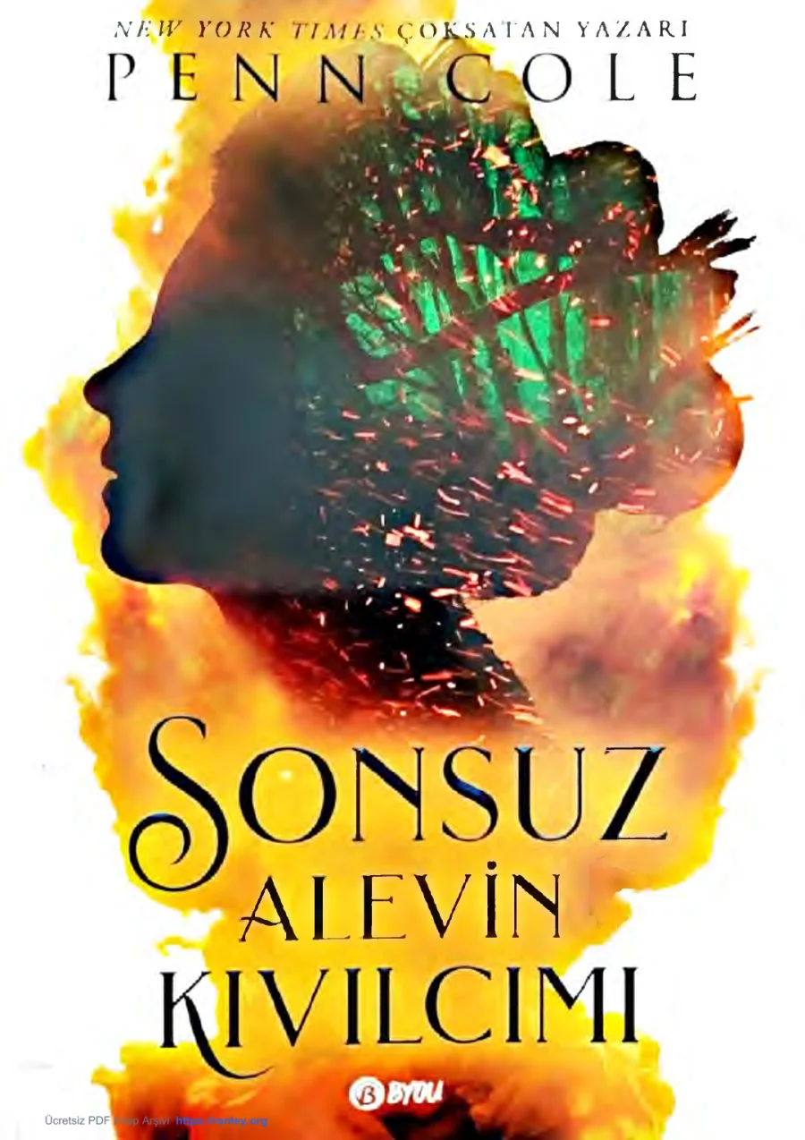 Sonsuz Alevin Kıvılcımı kapak görseli