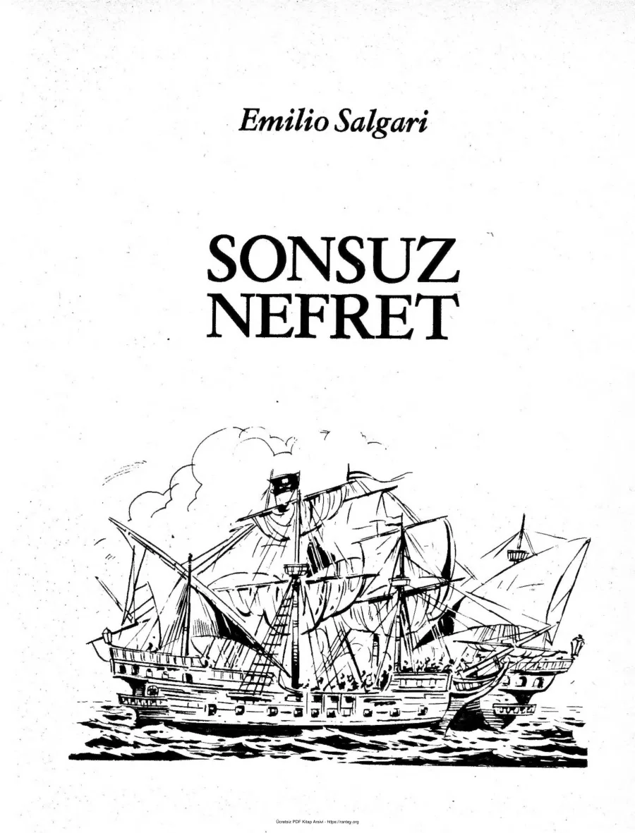 Sonsuz Nefret kapak görseli