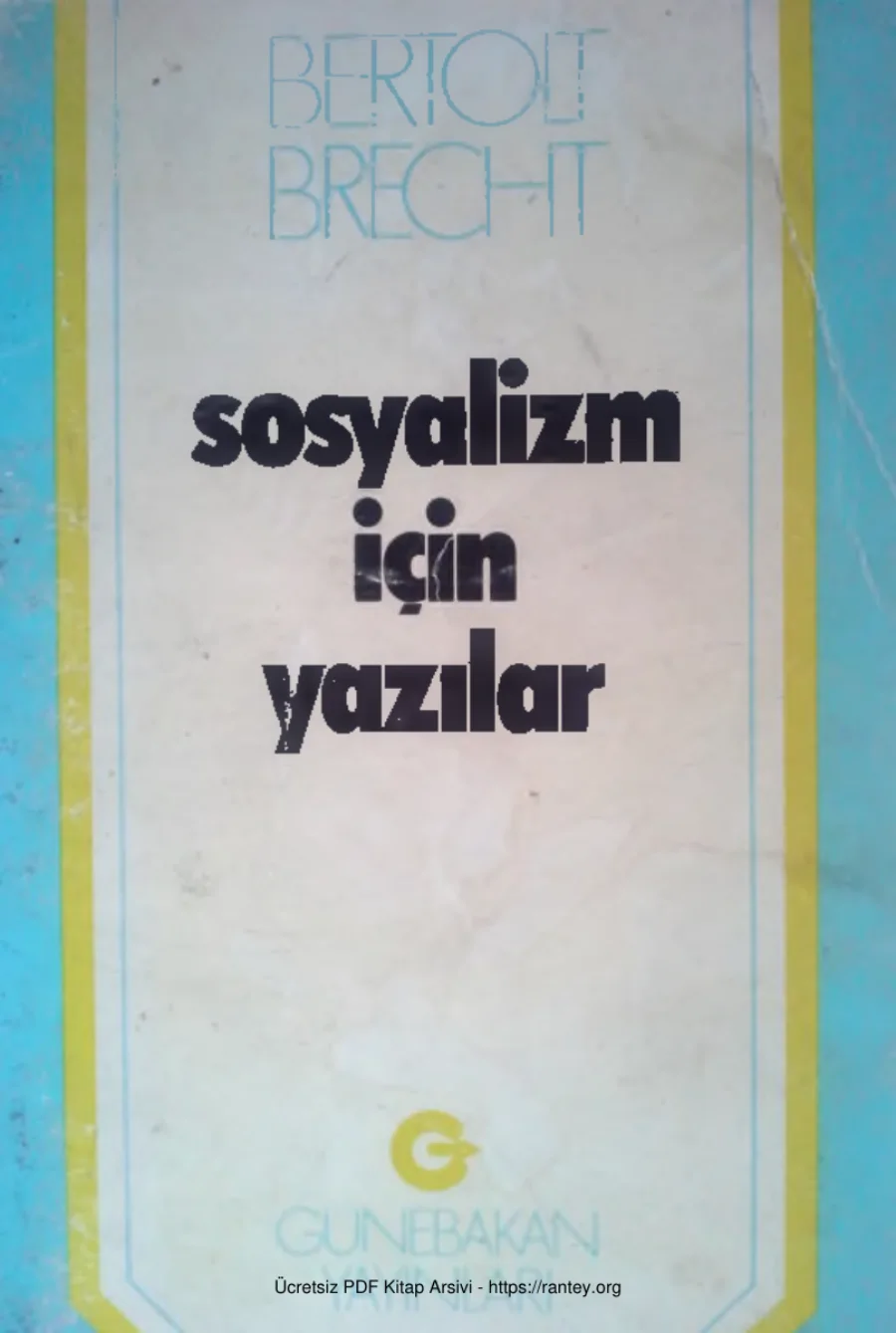 Sosyalizm İçin Yazılar Günebakan Yayınları kapak görseli