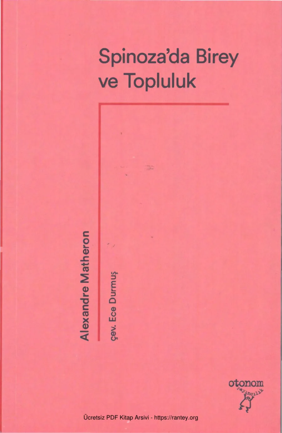 Spinoızada Birey ve Topluluk kapak görseli