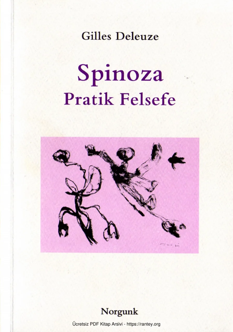 Spinoza Pratik Felsefe Nurgonk Yayınları kapak görseli