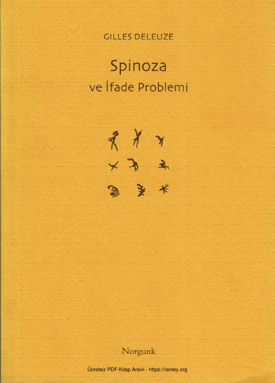 Spinoza ve İfade Problemi kapak görseli