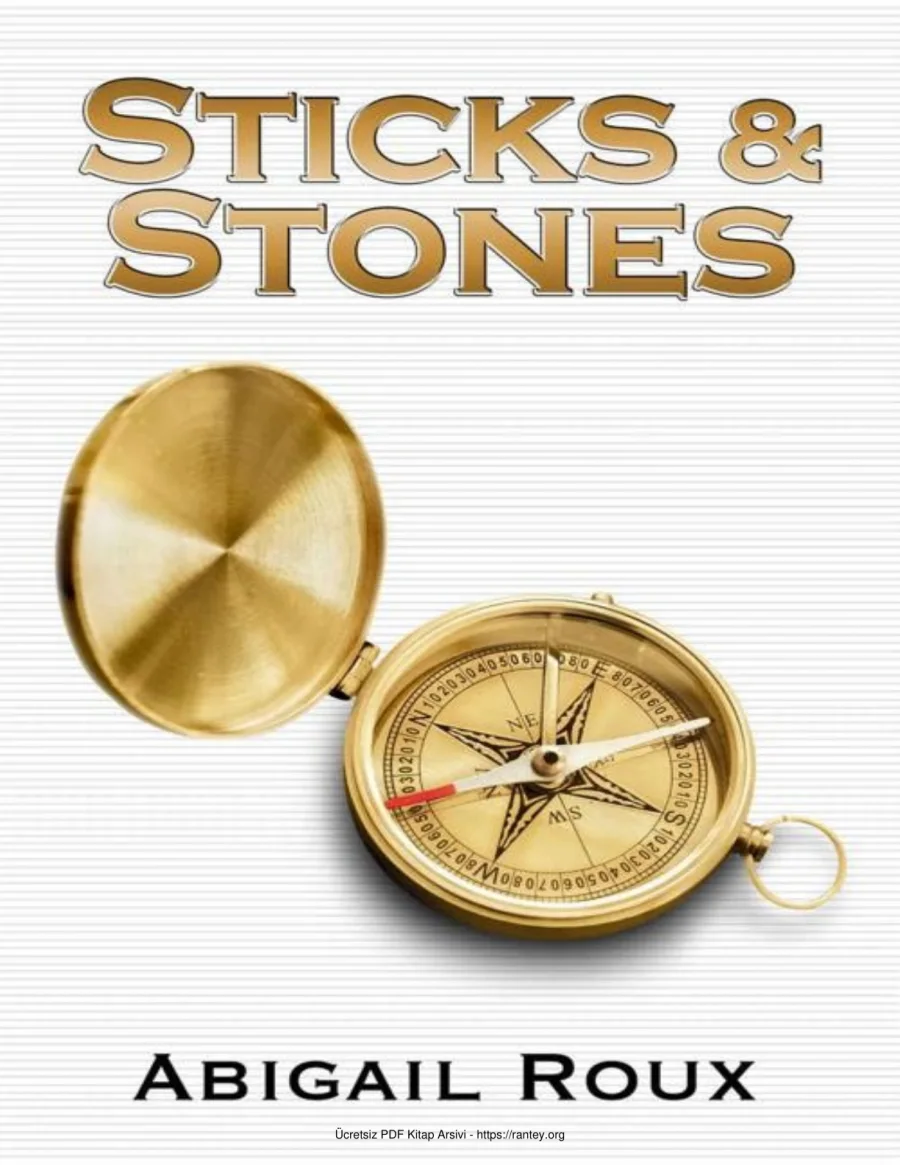 Sticks Stones kapak görseli