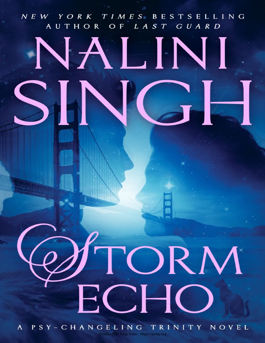 Storm Echo kapak görseli