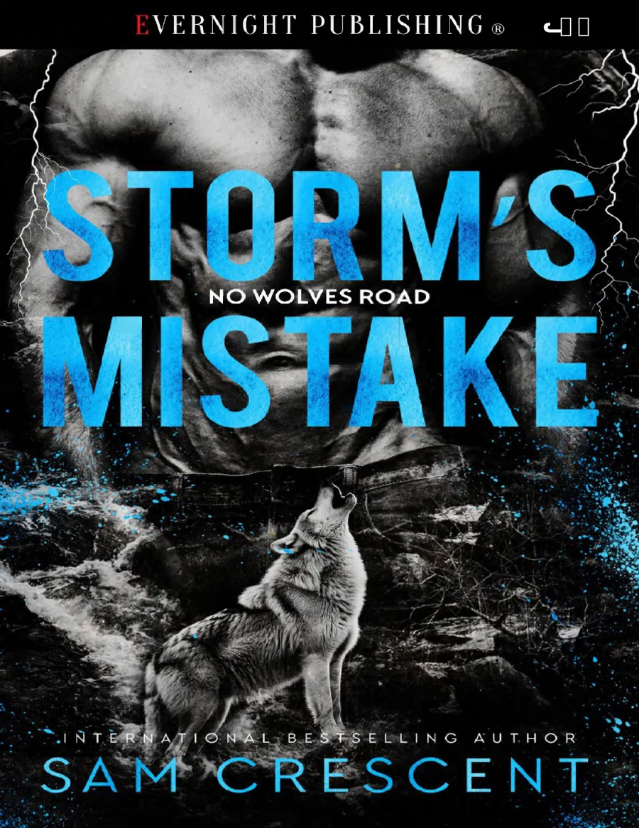 Storms Mistake kapak görseli
