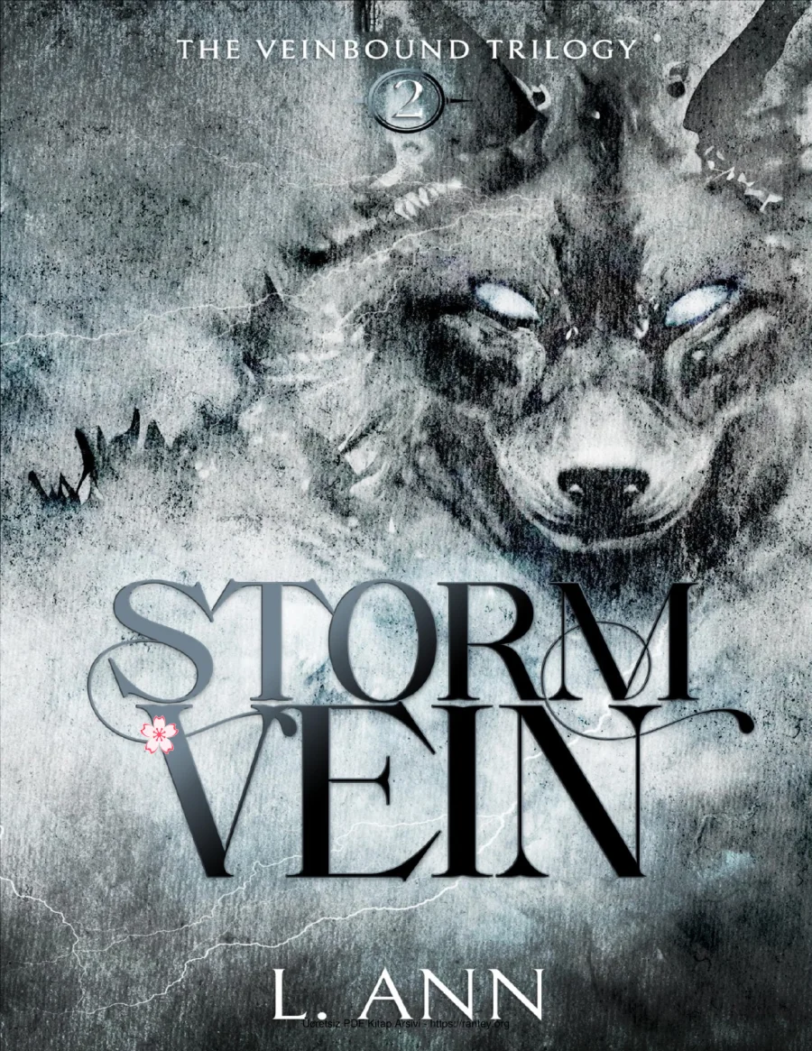 Stormvein kapak görseli
