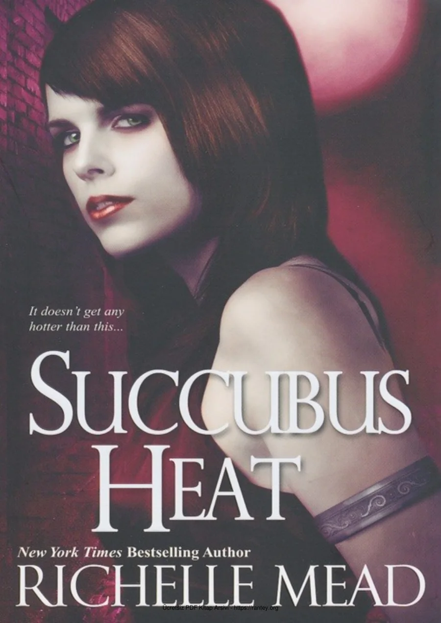 Succubus Heat kapak görseli
