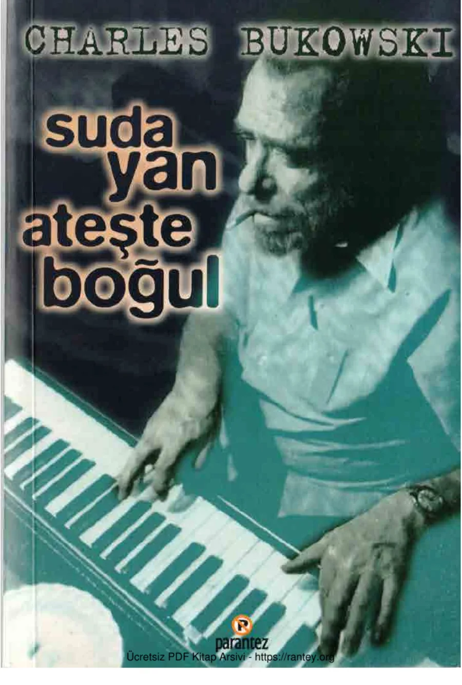 Suda Yan Ateşte Boğul Parentez Yayınları kapak görseli