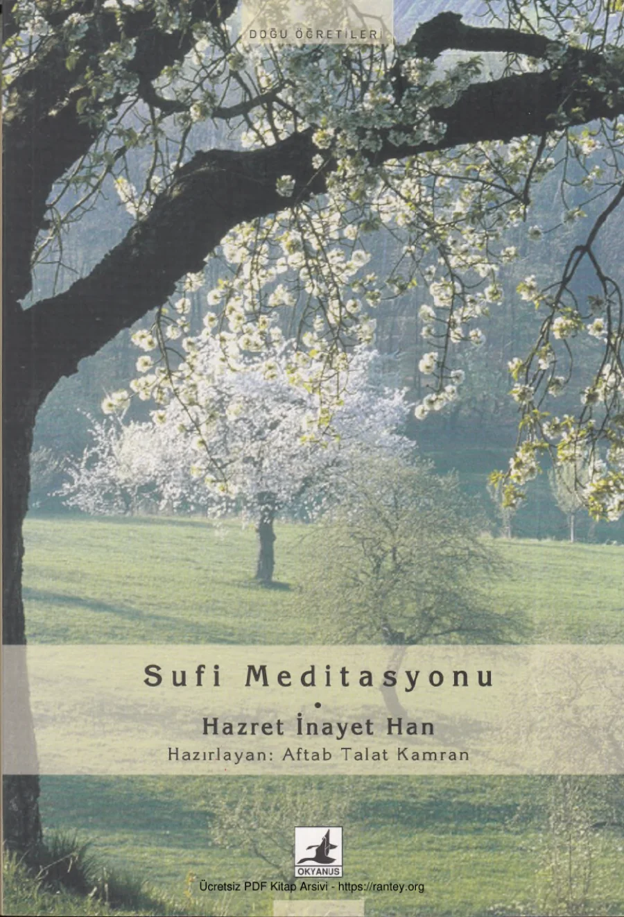 Sufi Meditasyonu Okyanus Yayınları kapak görseli