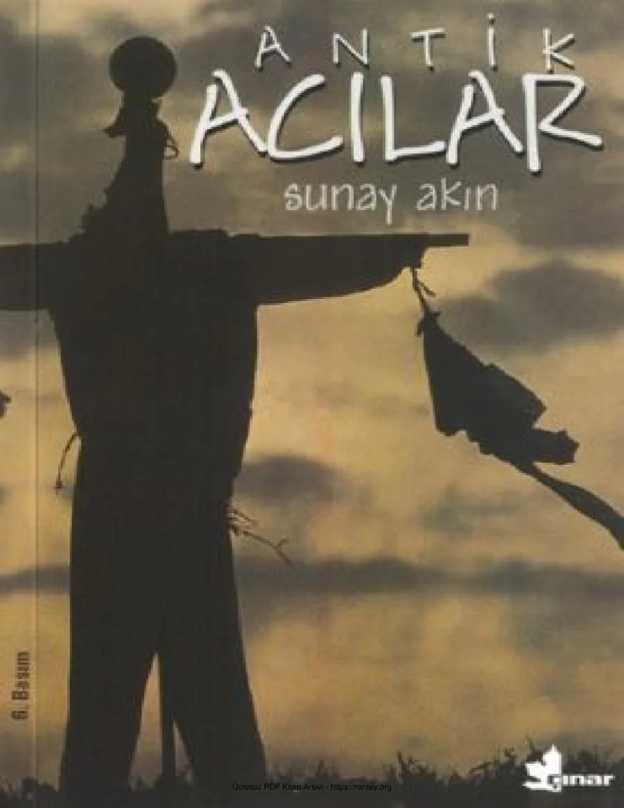 Sunay Akın kapak görseli