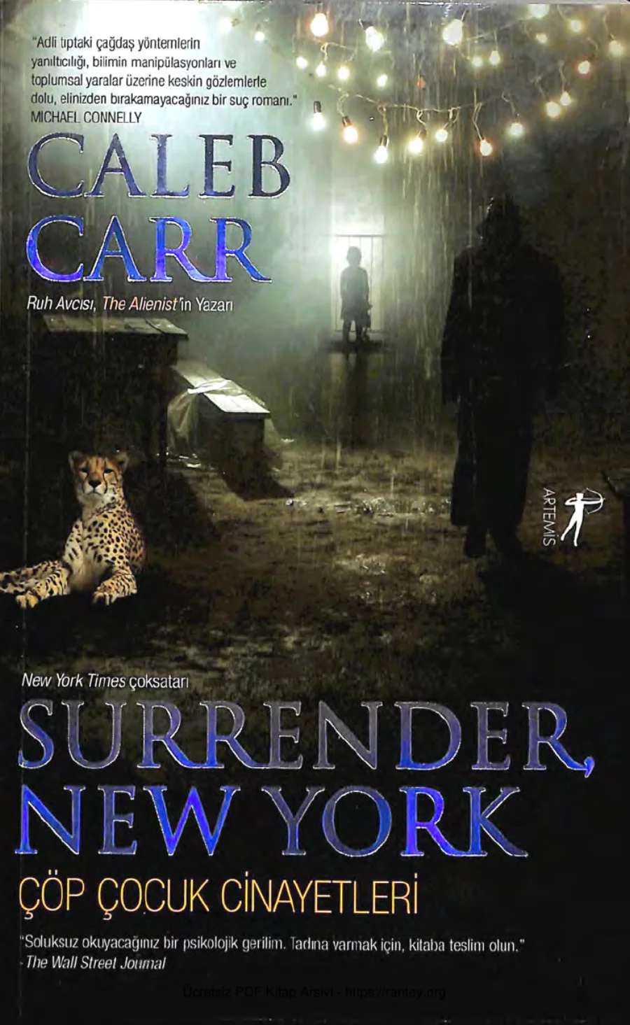 Surrender New York Artemis Yayınları kapak görseli