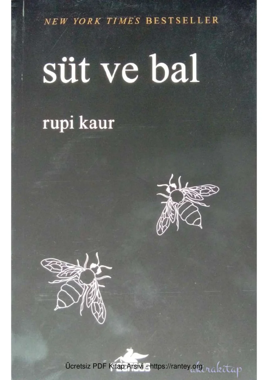 Süt ve Bal kapak görseli