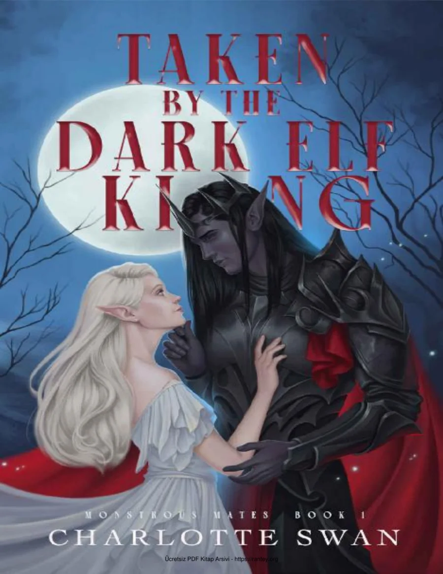 Taken by the Dark Elf King kapak görseli