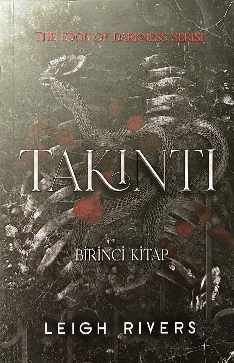 Takıntı kapak görseli