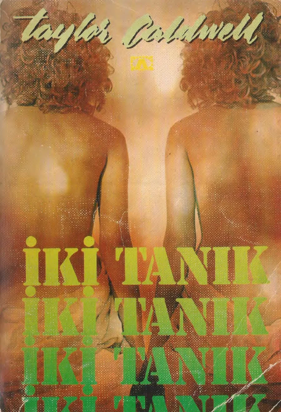 Tanık kitap kapağı
