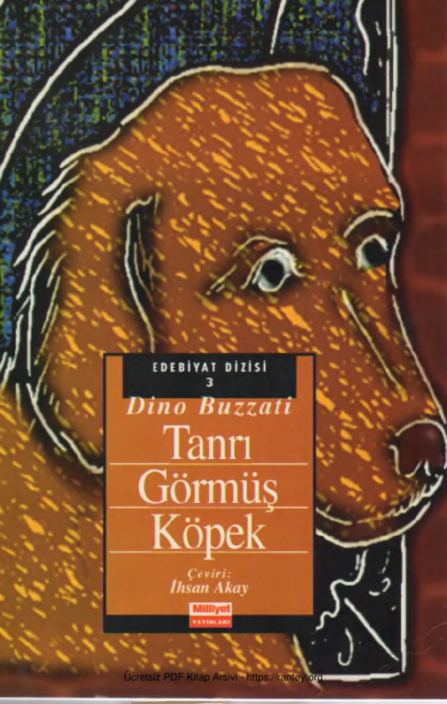 Tanrı Görmüş Köpek kapak görseli