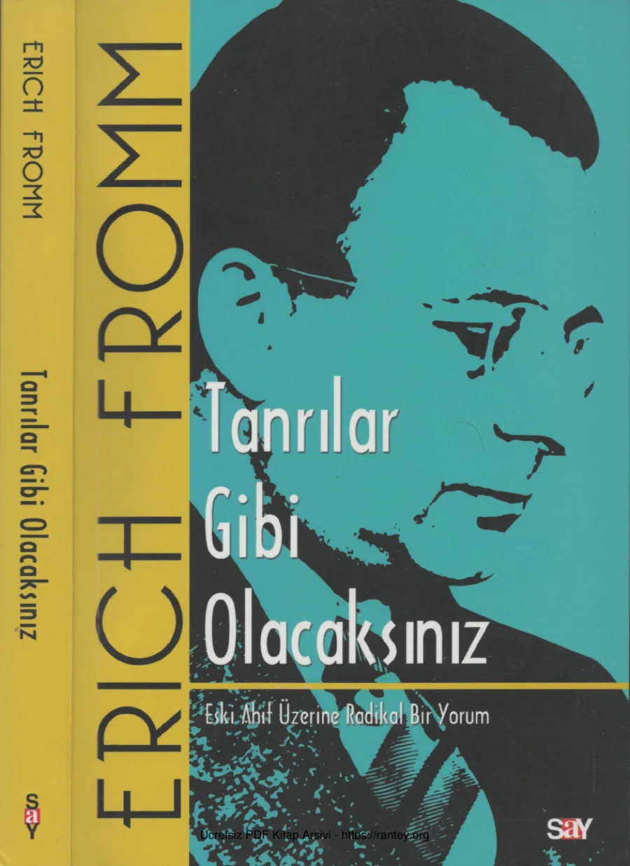 Tanrılar Gibi Olacaksınız kapak görseli