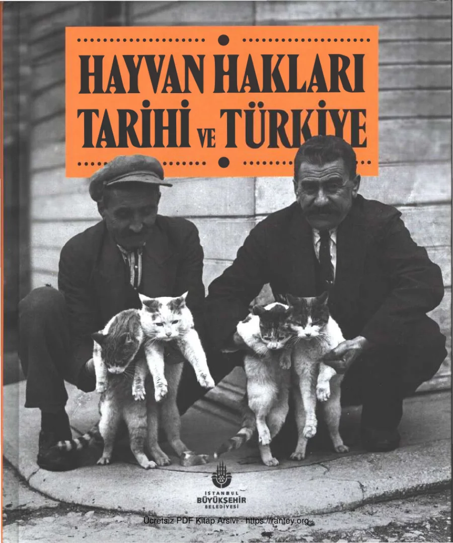 Tarihi ve Türkiye kapak görseli